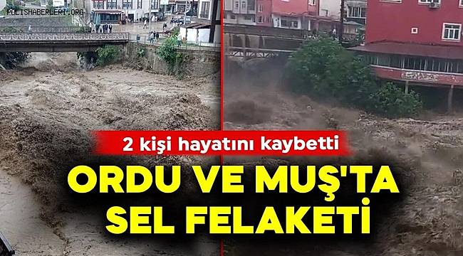 Ordu ve Muş'ta sel felaketi! 2 kişi hayatını kaybetti