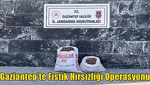 Gaziantep'te Fıstık Hırsızlığı Operasyonu 